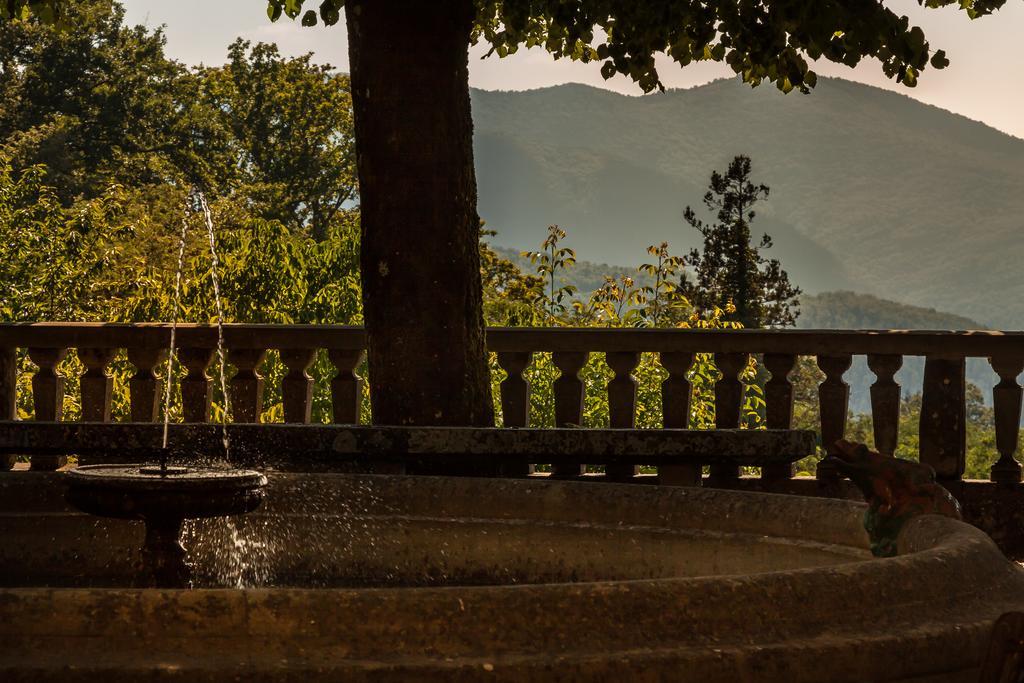 Giotto Park Hotel Bivigliano Luaran gambar